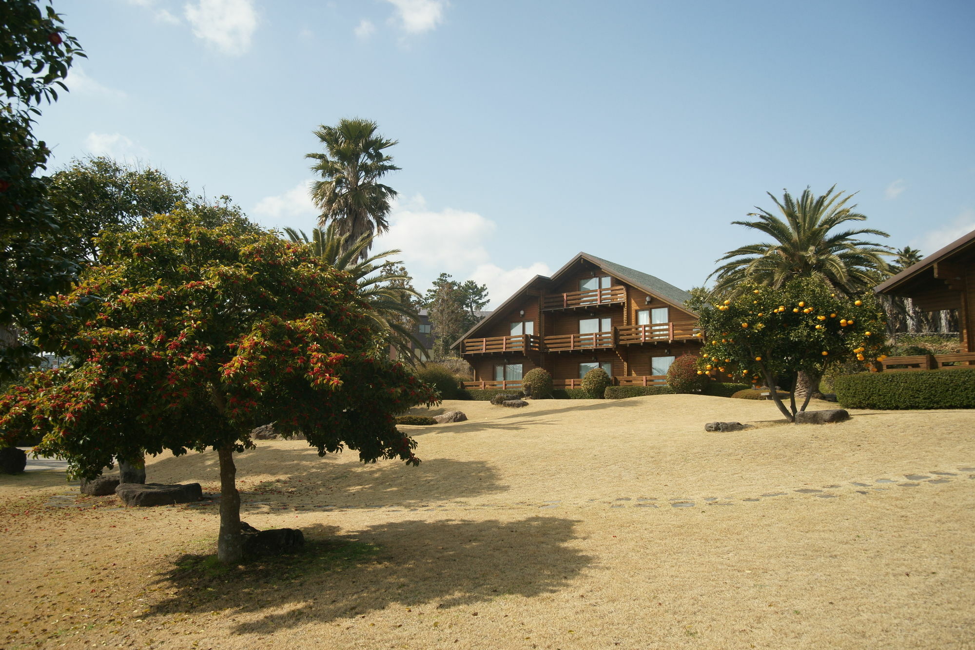 ซันนี เดย์ เชจู เพนชั่น Villa ซอกวีโพ ภายนอก รูปภาพ