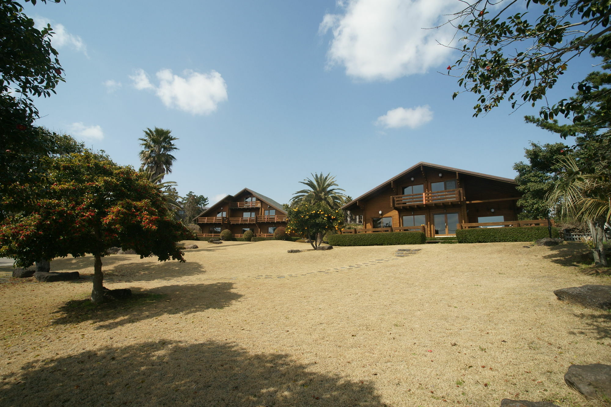 ซันนี เดย์ เชจู เพนชั่น Villa ซอกวีโพ ภายนอก รูปภาพ