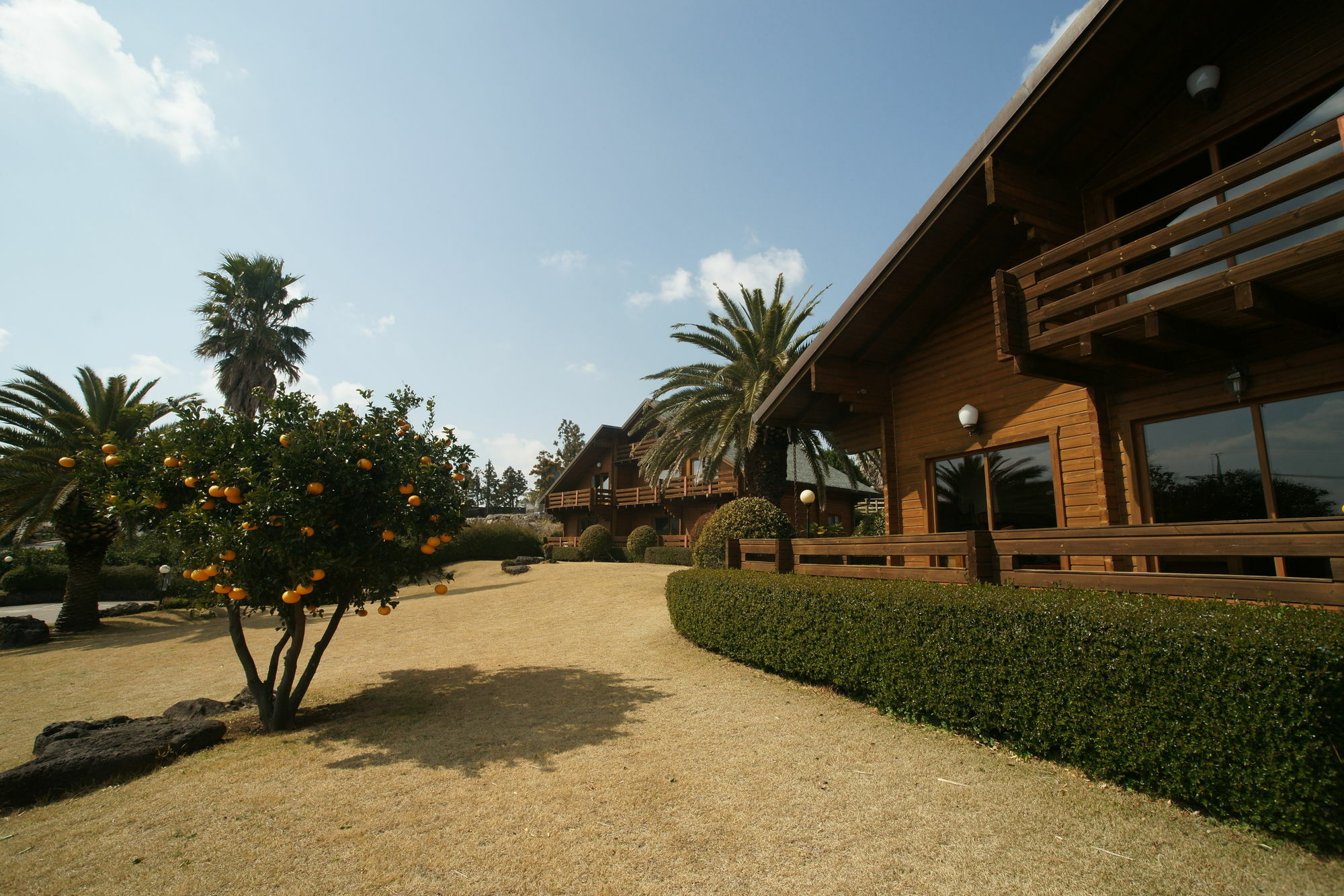 ซันนี เดย์ เชจู เพนชั่น Villa ซอกวีโพ ภายนอก รูปภาพ