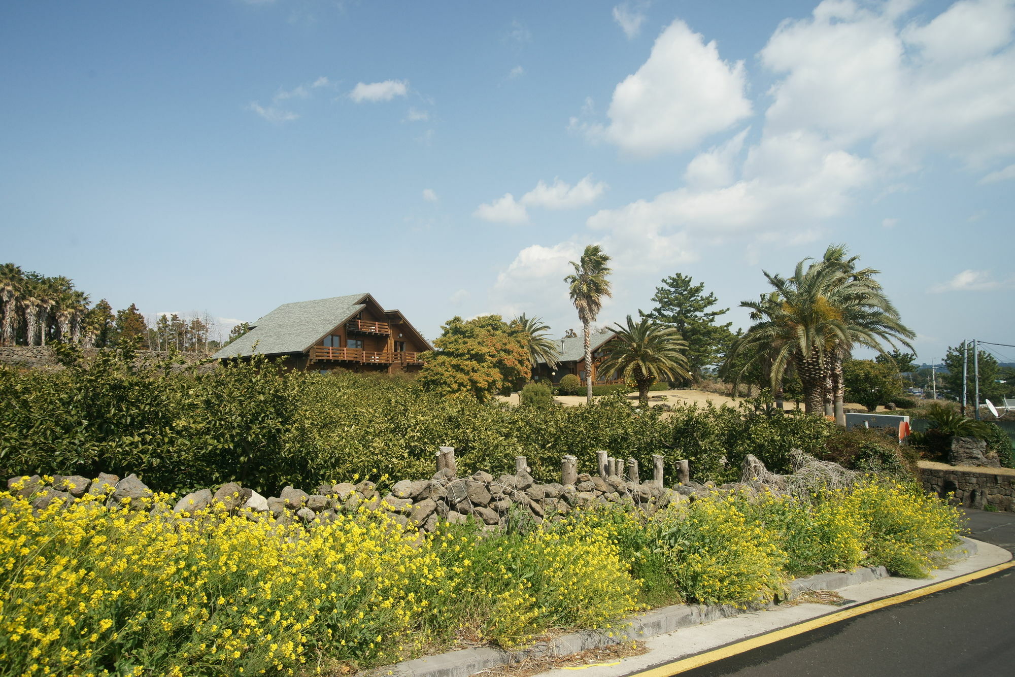 ซันนี เดย์ เชจู เพนชั่น Villa ซอกวีโพ ภายนอก รูปภาพ