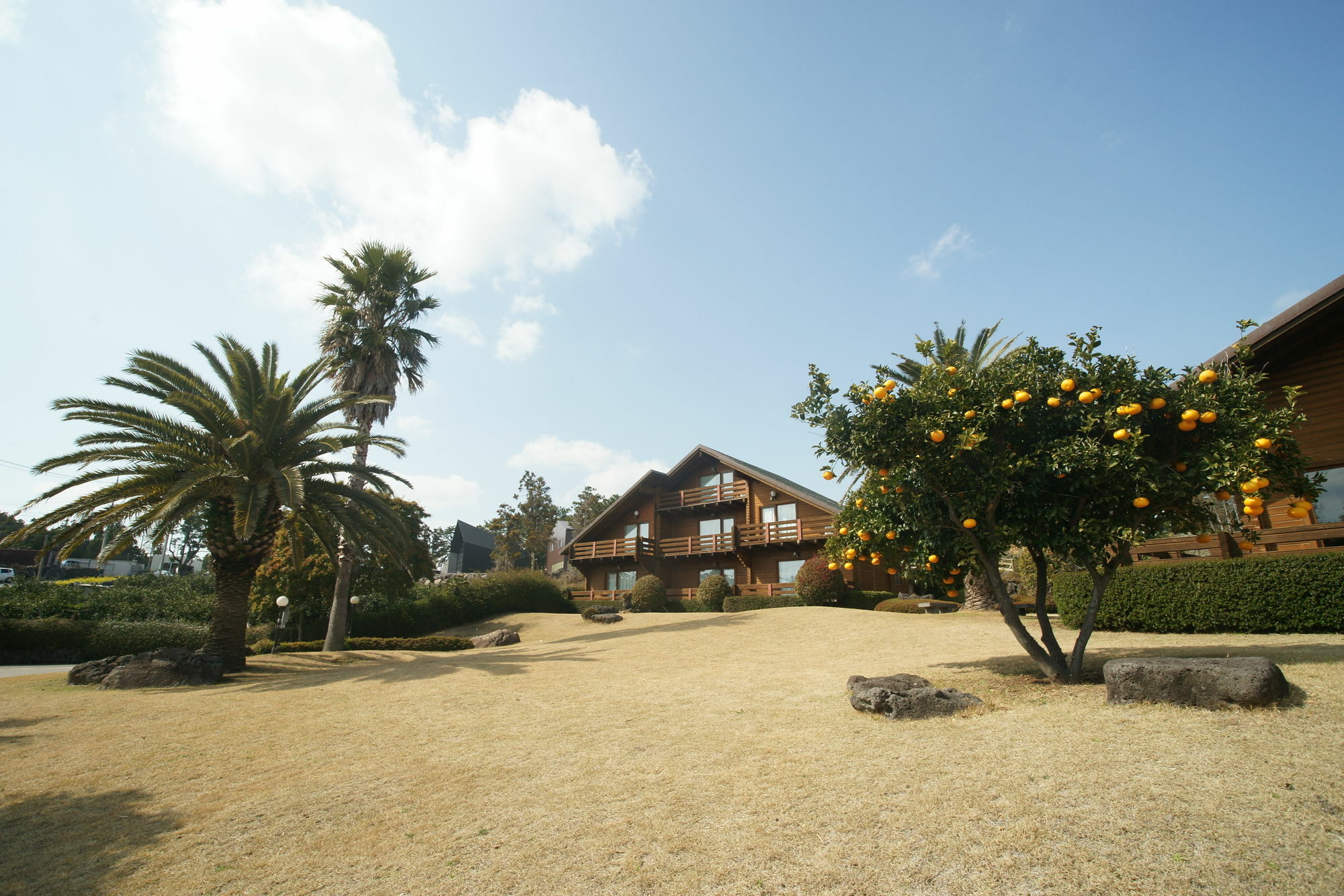 ซันนี เดย์ เชจู เพนชั่น Villa ซอกวีโพ ภายนอก รูปภาพ